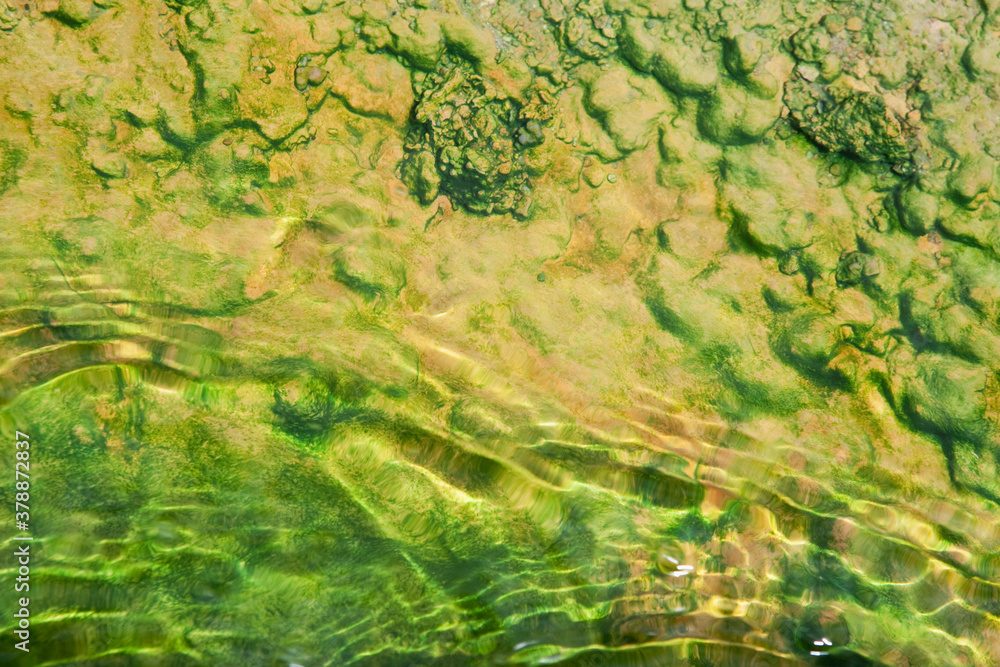 Silica and minerals in geothermal water, Yellowstone National Park, Wyoming, USA Silica and minerals in geothermal water, Yellowstone National Park, Wyoming, USA