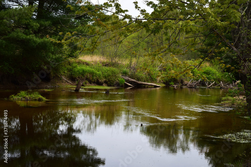down the river
