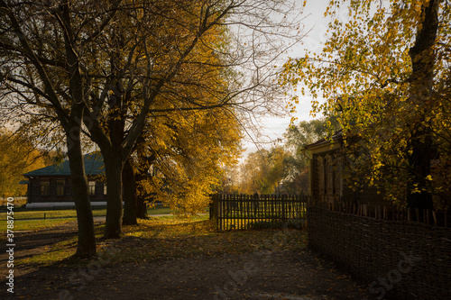 autumn in the park