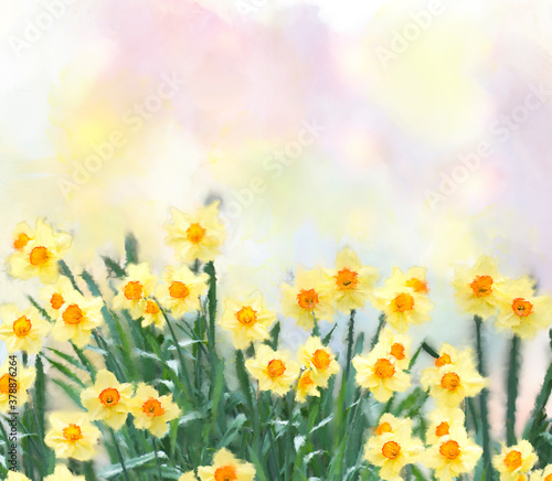yellow daffodil flowers watercolor