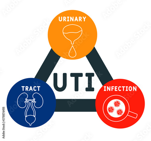 UTI -  urinary tract infection acronym, medical concept background. vector illustration concept with keywords and icons. lettering illustration with icons for web banner, flyer, landing page