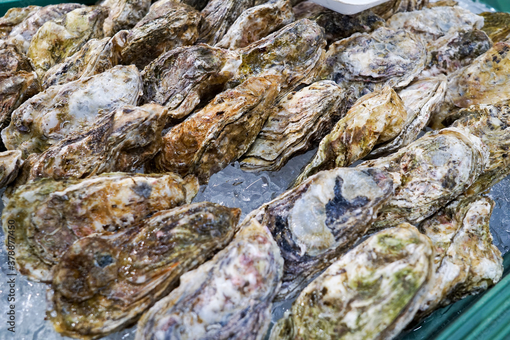 海産物 海産物