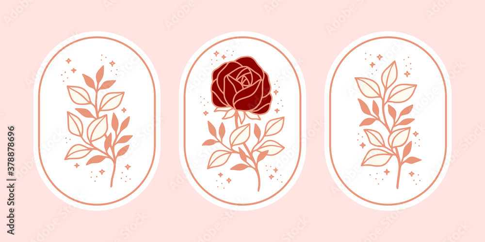 Vintage botanical pink rose flower, and leaf vector element set in minimal linear style. Symbol for  cosmetics, packaging, jewelry, beauty products, beauty logo or floral feminine brand