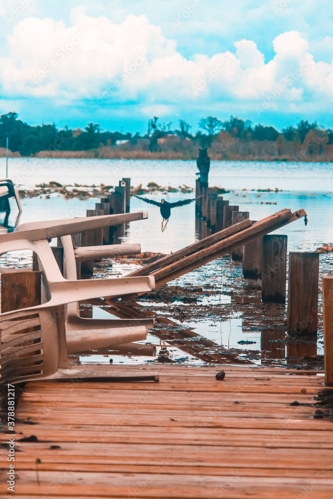 Obraz premium Bird Soaring above a eradicated bridge 