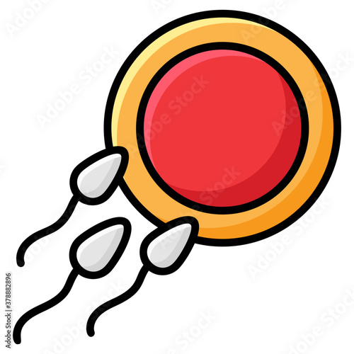 Conception