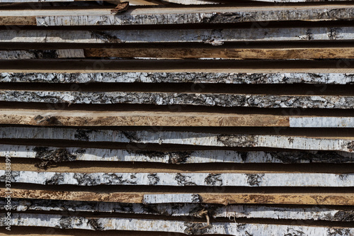 Wooden boards are laid to dry. A stack of natural boards, raw birch boards with birch bark, close-up with a blurred background. Natural raw wood texture, DIY construction