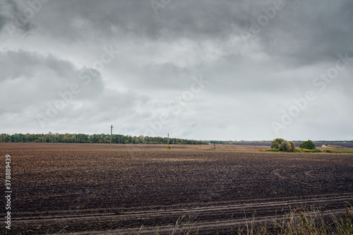 Plowed field.