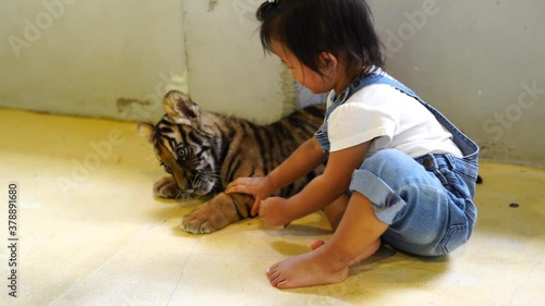 child playing with a baby tiger.