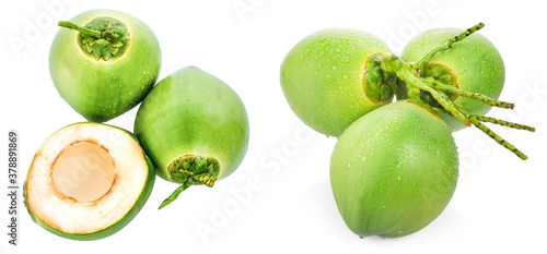 water drop green coconut isolated on white background