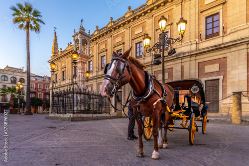 Seville, Spain. October 15th, 2020. Horse-drawn carriage waiting for tourists on Calle Miguel Mañara in front of the facade of the Archivo General de Indias building.