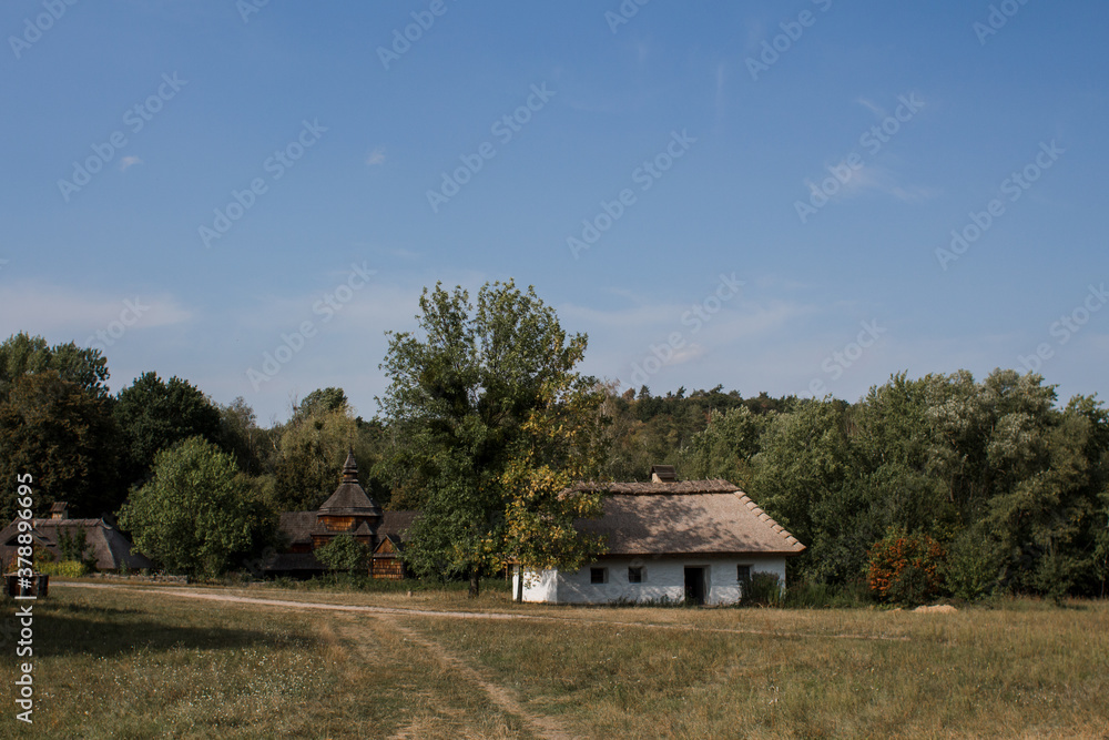 Fototapeta premium old thatched cottage in the forest