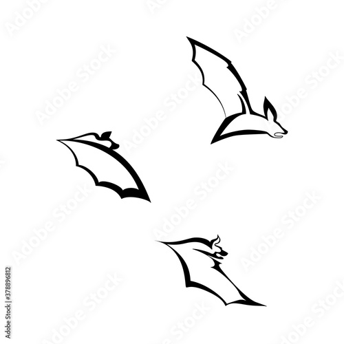 Vector illustration of bats set. Three black and white bats in different poses