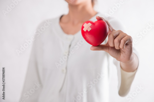 Woman hold red heart. on isolated white background. Happy charity volunteer concept, world heart day.