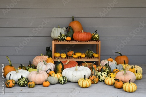 pumpkins and gourds