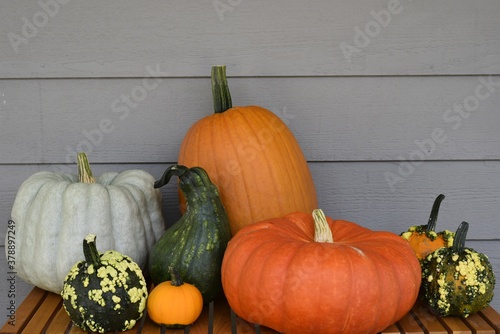 pumpkins on a table