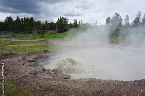 Steam coming from the ground in Yellowstone