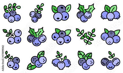 Rowan icons set. Outline set of rowan vector icons thin line color flat on white