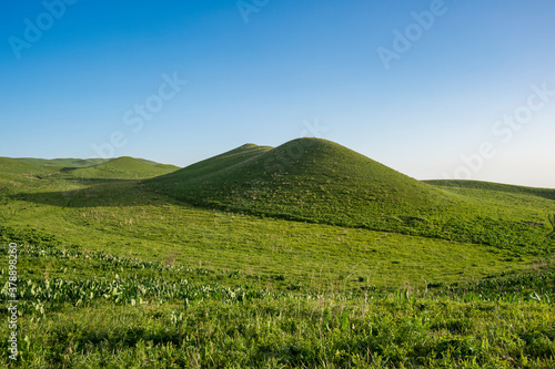 landscape with field and sky