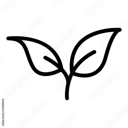 Basil icon. Outline basil vector icon for web design isolated on white background