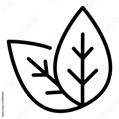 Basil plant leaf icon. Outline basil plant leaf vector icon for web design isolated on white background