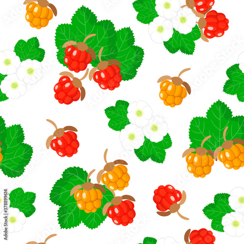 Vector cartoon seamless pattern with Rubus chamaemorus or cloudberry exotic fruits flowers and leafs on white background
