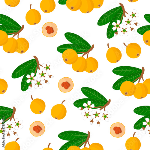 Vector cartoon seamless pattern with Eriobotrya japonica or Medlar exotic fruits, flowers and leafs on white background