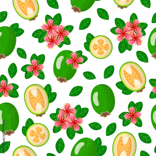 Fototapeta Naklejka Na Ścianę i Meble -  Vector cartoon seamless pattern with Acca sellowiana or Feijoa exotic fruits, flowers and leafs on white background