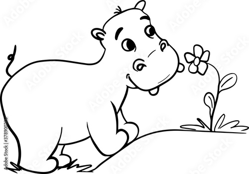 Cute little hippo character.Vector cartoon hippo smelling a flower .Coloring book hippopotamus  african  savannah animal.Can be used for t-shirt print  kids wear  baby shower  nursery.