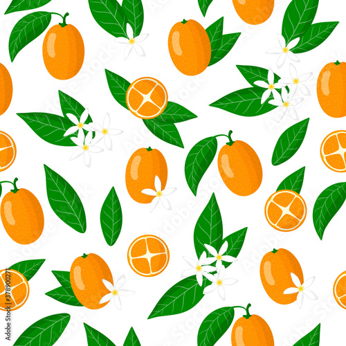 Vector cartoon seamless pattern with Fortunella or Kumquat exotic fruits, flowers and leafs on white background