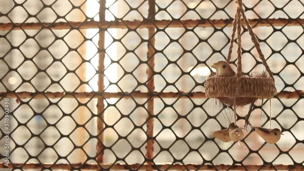 birds in the hanging nest with grid fence background birds in the hanging nest with grid fence background