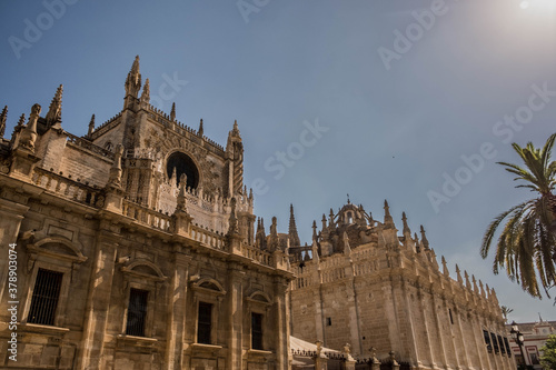 Cattedrale di Porto Oporto con cielo nuvoloso e gabbiano. 