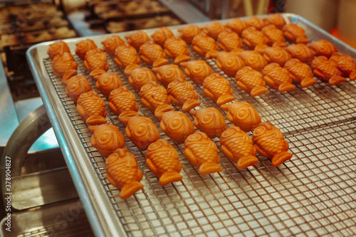 fish chips 