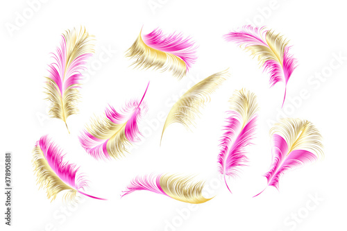 Vector gold feathers collection.