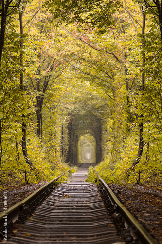 Fototapeta Naklejka Na Ścianę i Meble -  small railway through autumn forest, Ukraine, tunnel of lovers
