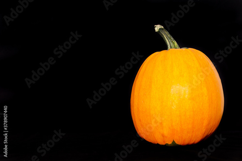 Halloween orange pumpkin on dark background. halloween concept