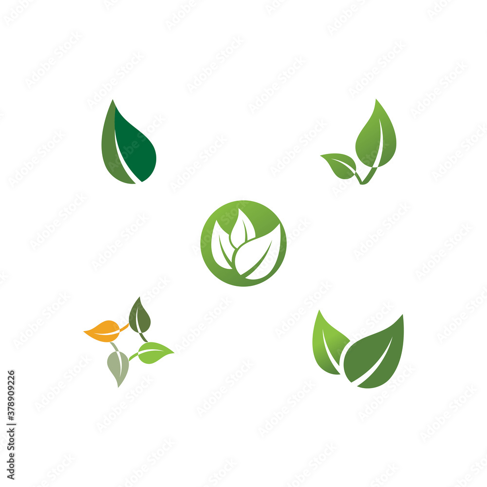 Leaf Mint Logo Template vector symbol Leaf Mint Logo Template vector symbol