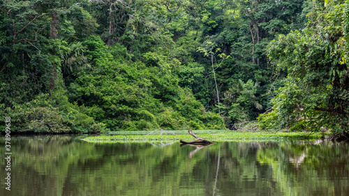 Tortuguero Costa Rica