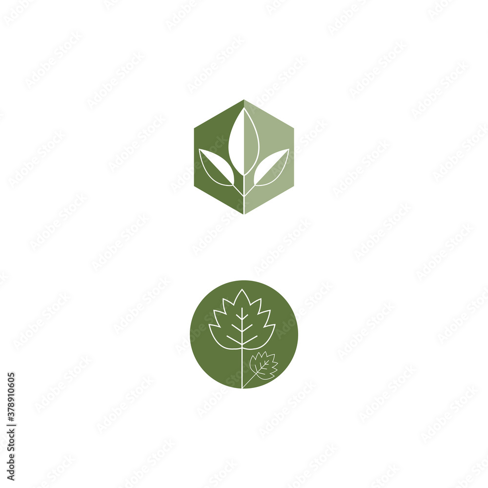 Leaf line icons vector leaves logo design Leaf line icons vector leaves logo design