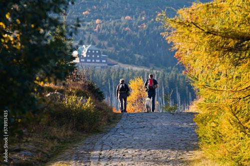 Turyści z psem na szlaku w górach