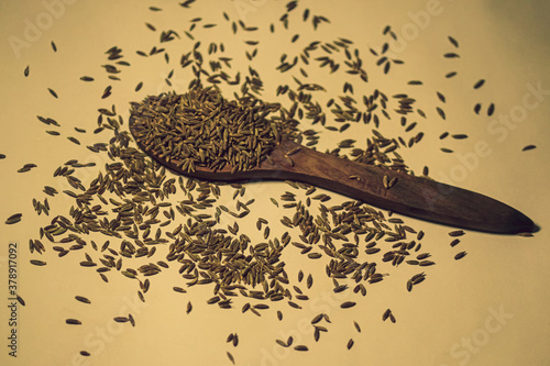 spoon of cumin (Indian Spice) photo