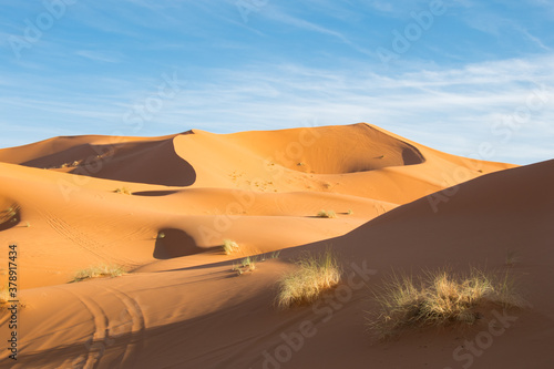 Erg Chebbi in Sahara