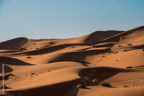 Erg Chebbi in Sahara
