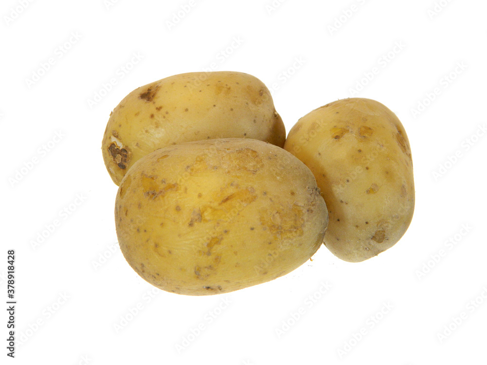 ripe potato isolated on white background ripe potato isolated on white background