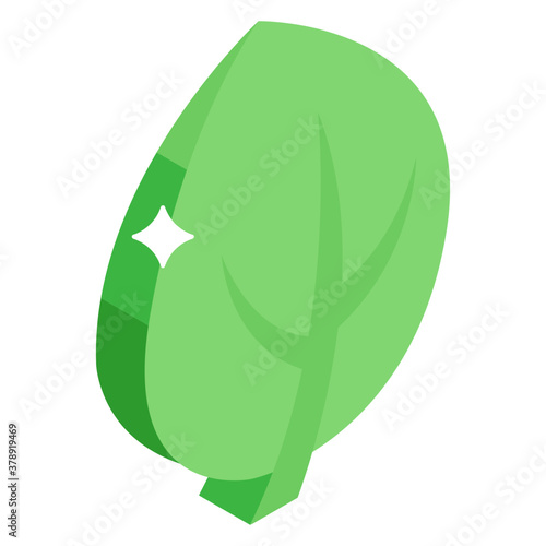 isometric vector design of poplar leaf
