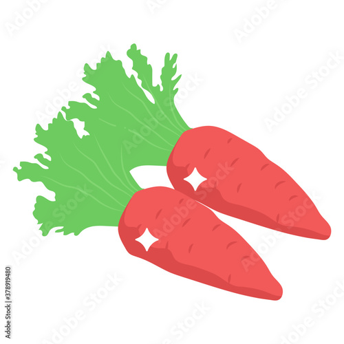 
Organic nutrients food, carrots icon in isometric style 
