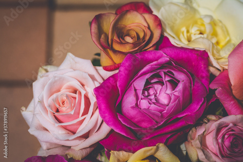 Vintage floral background of multi colored roses