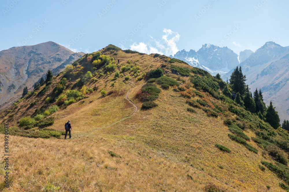 A man with trekking poles hiking on a hill, snow-capped mountains on a background