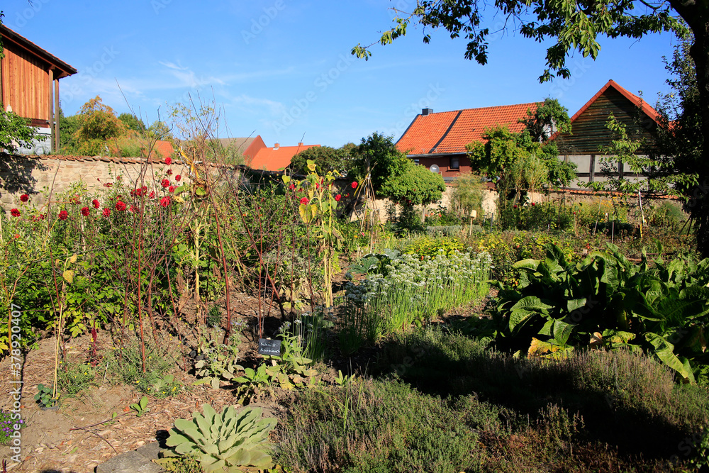 Der Klostergarten und das Kloster Drübeck. Klostergarten, Sachsen-Anhalt, Deutschland, Europa
Der Klostergarten und das Kloster Drübeck. Klostergarten, Sachsen-Anhalt, Deutschland, Europa