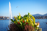 Flowerpot with flowers on the background of Lake Geneva