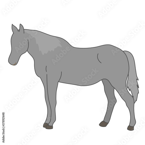 Animal character grey horse standing side view white isolated background with flat color style